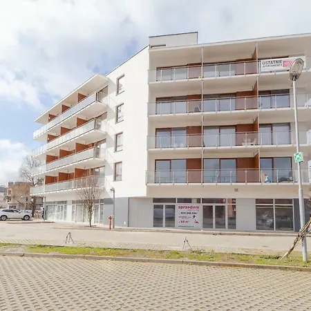 Rent Like - White Flamingo *